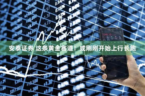 安泰证券 这条黄金赛道！或刚刚开始上行长跑
