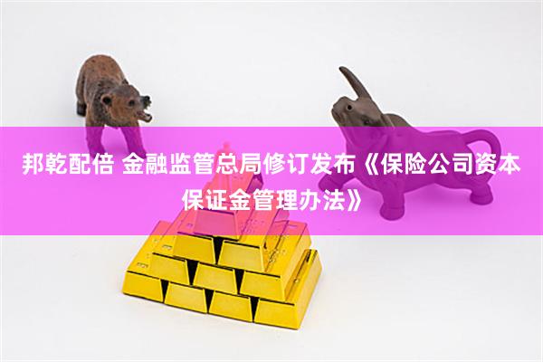 邦乾配倍 金融监管总局修订发布《保险公司资本保证金管理办法》
