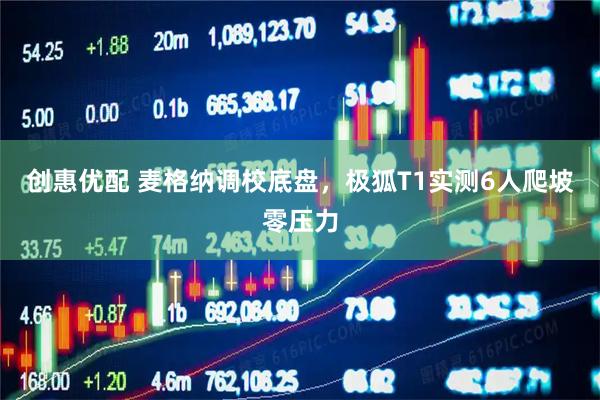 创惠优配 麦格纳调校底盘，极狐T1实测6人爬坡零压力