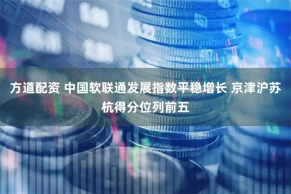 方道配资 中国软联通发展指数平稳增长 京津沪苏杭得分位列前五