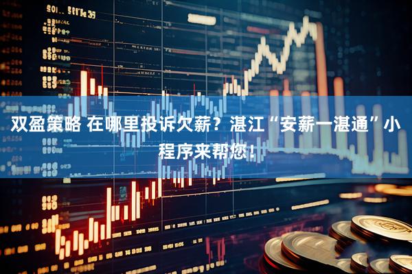 双盈策略 在哪里投诉欠薪？湛江“安薪一湛通”小程序来帮您！