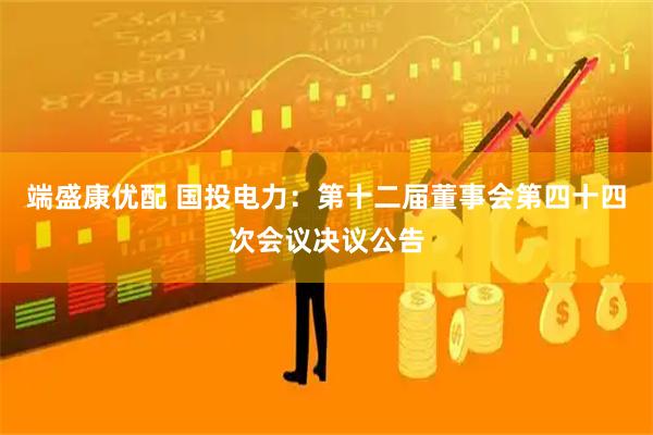 端盛康优配 国投电力：第十二届董事会第四十四次会议决议公告