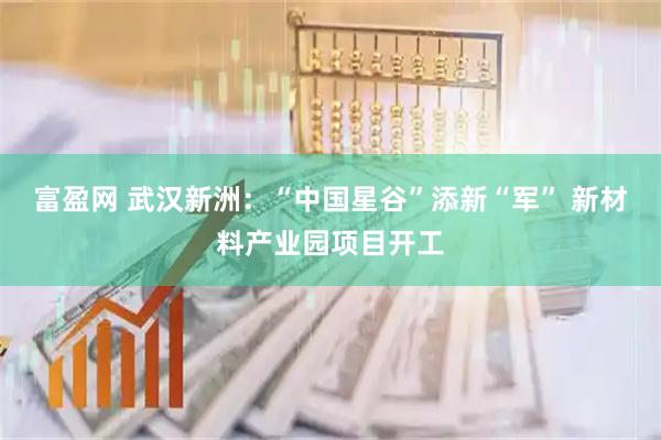 富盈网 武汉新洲：“中国星谷”添新“军” 新材料产业园项目开工