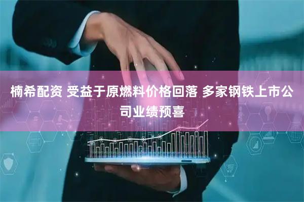 楠希配资 受益于原燃料价格回落 多家钢铁上市公司业绩预喜
