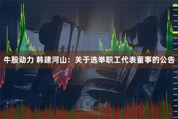 牛股动力 韩建河山：关于选举职工代表董事的公告