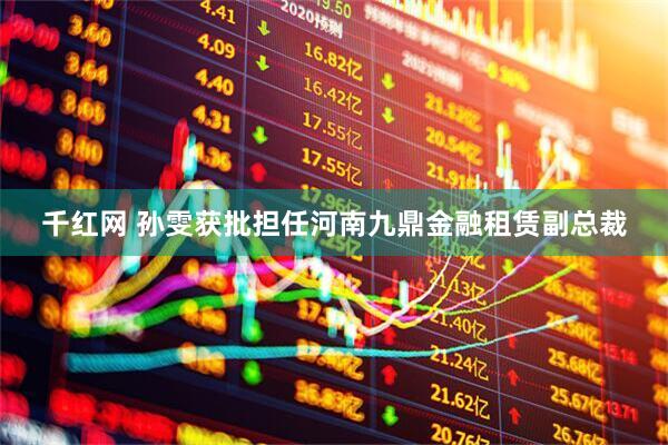 千红网 孙雯获批担任河南九鼎金融租赁副总裁