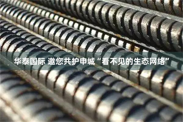 华泰国际 邀您共护申城“看不见的生态网络”